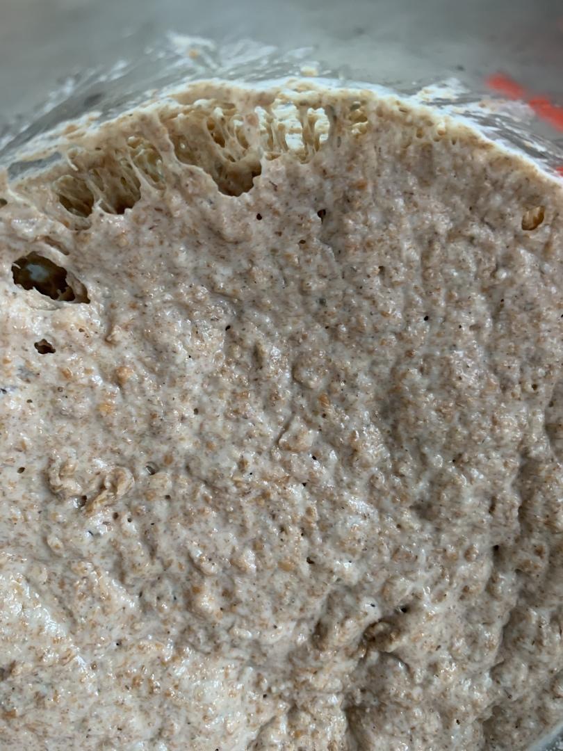 黑麦吐司 70%黑麦 波兰种