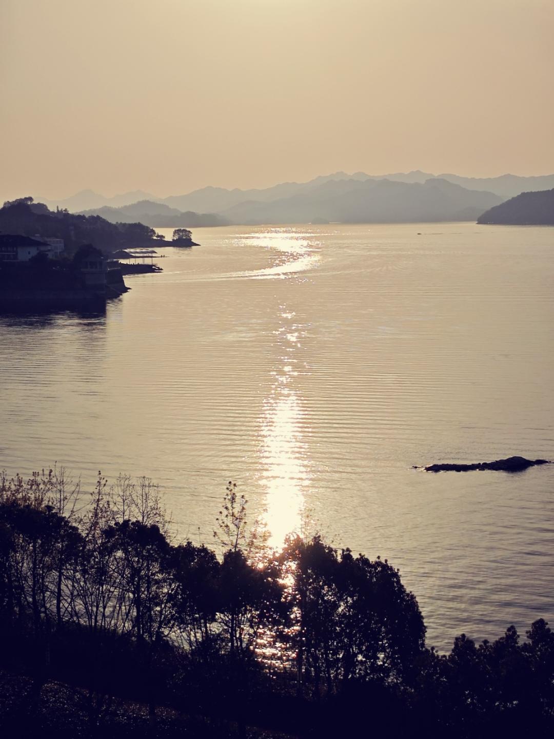 神之舞枝
