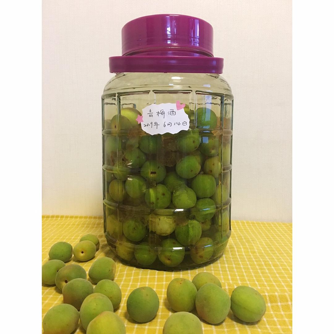 自酿超好喝的青梅酒/梅子酒