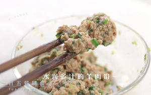 羊肉小水饺-冬日不可或缺的辅食的做法 步骤7