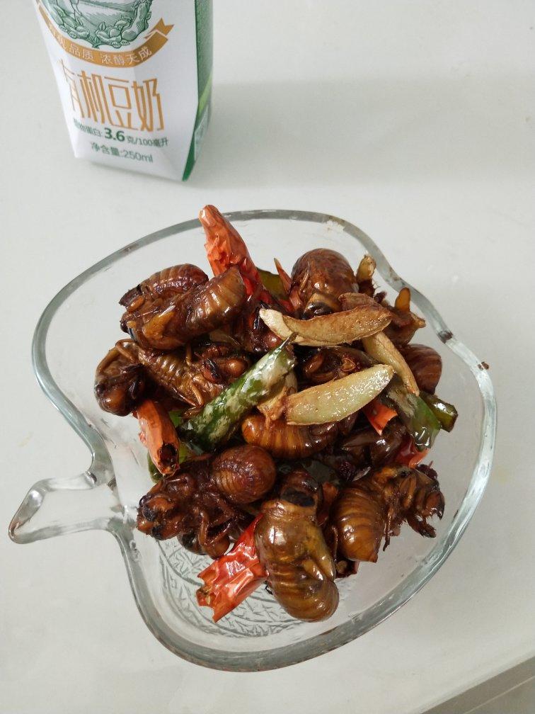 许夫人xi做的爆炒知了猴