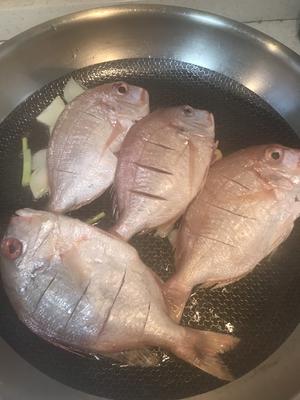 干煎赤棕鱼的做法 步骤7