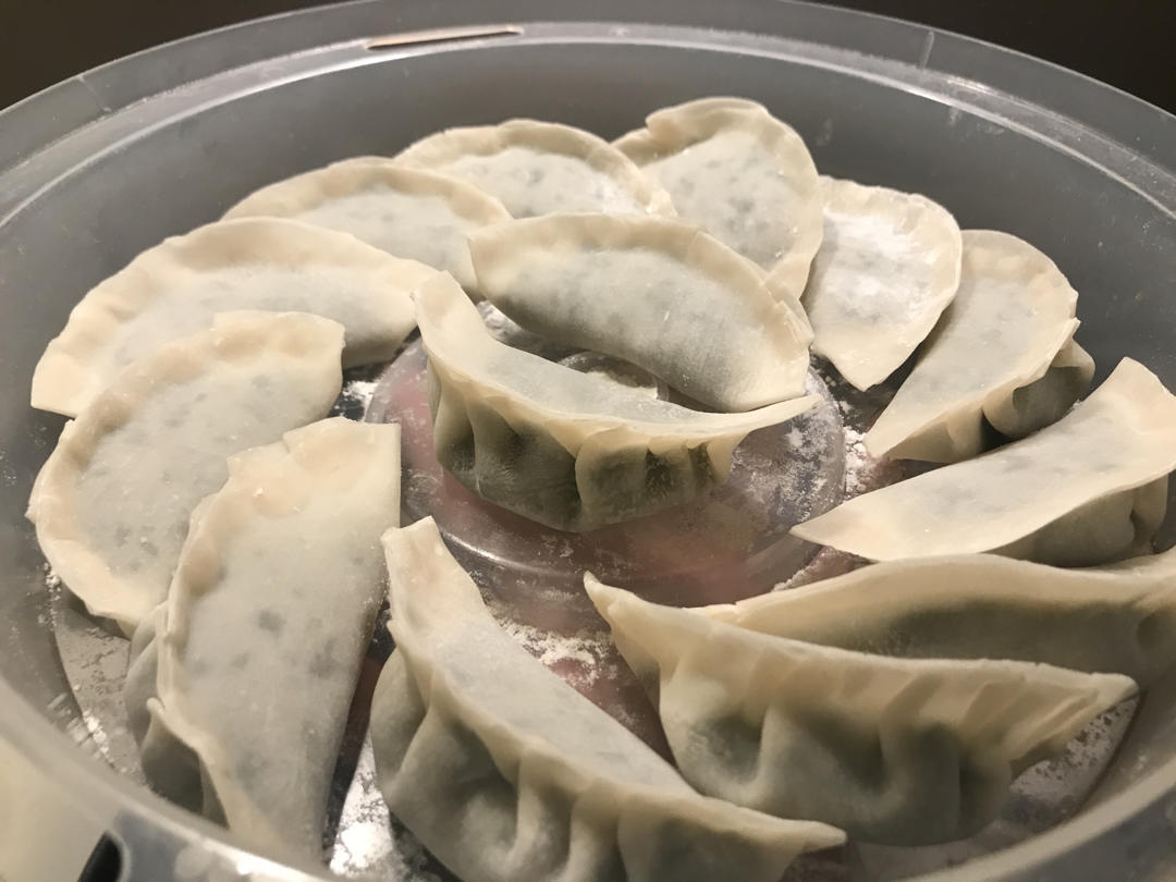 韭菜猪肉饺子(最简单最好吃又最多汁的饺子)