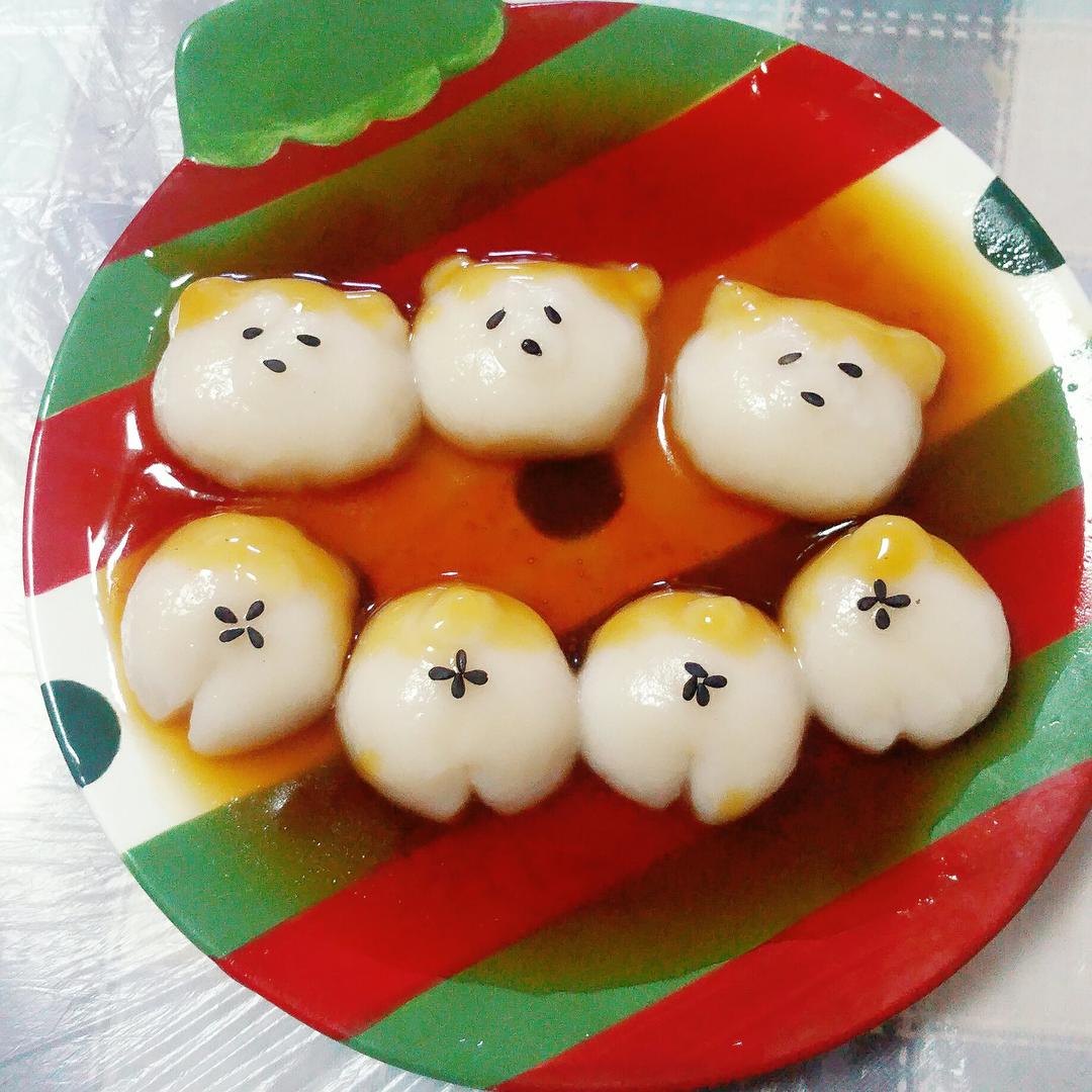 巨萌的柴犬团子