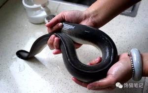 【煎焗白鳝|让人欲罢不能的丰腴美味|简单又好吃的家常做法的做法步骤图】馋猫笔记_下厨房