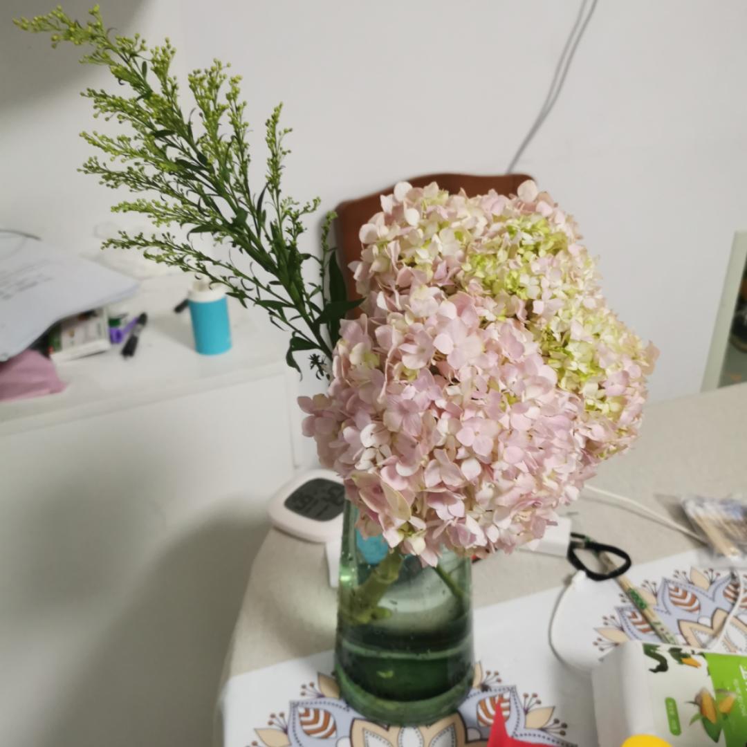 倒腾厨房的上班族