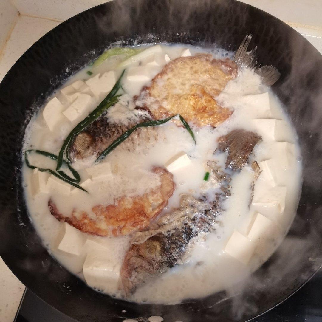 这样做的鲫鱼汤超好喝，奶白奶白的