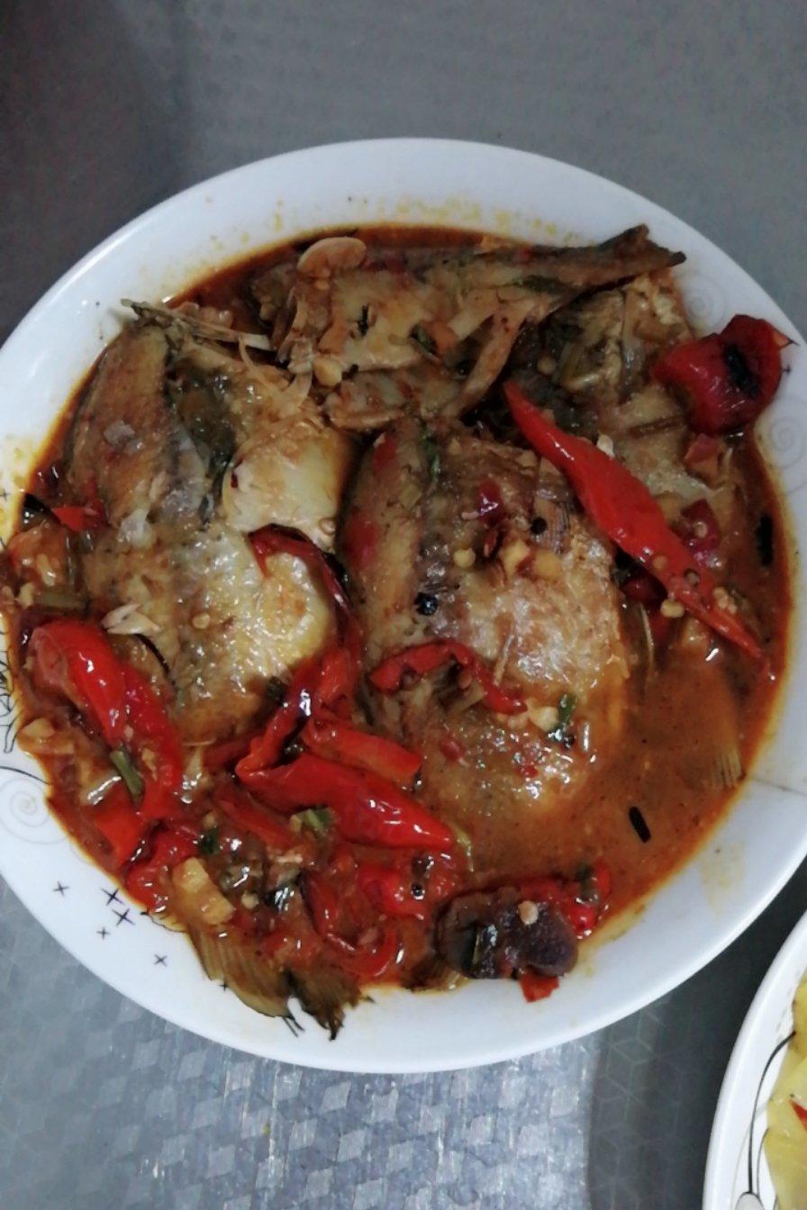家常鲫鱼🐟