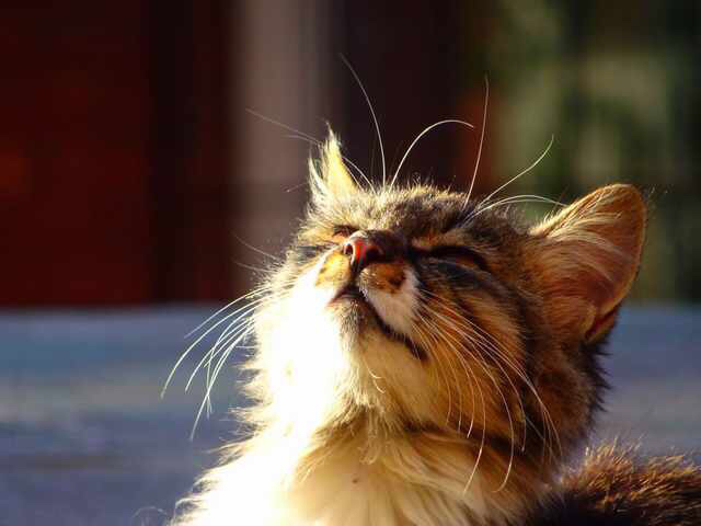 那样的蓝够不够