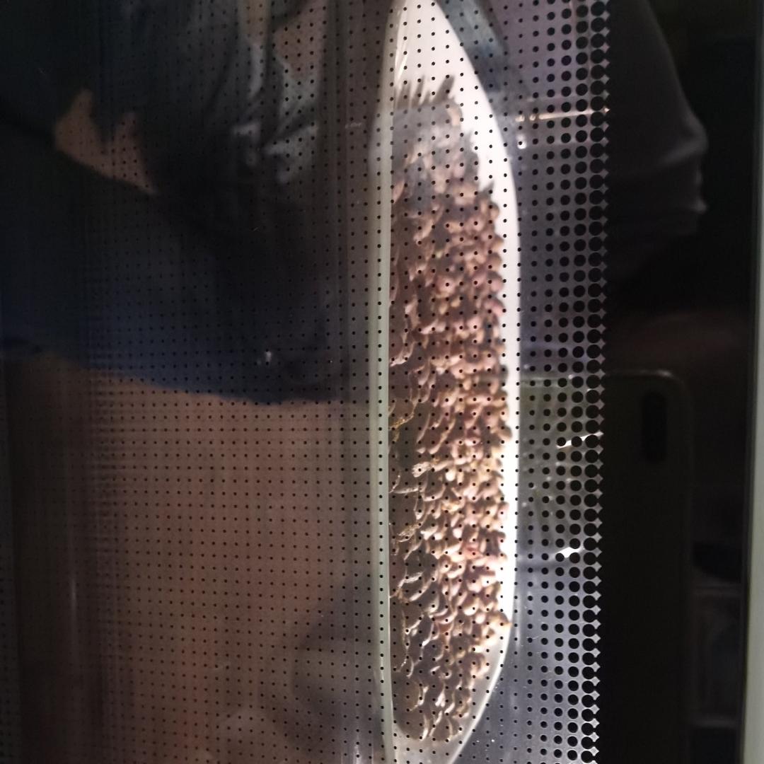 五香花生米～烤箱最简单版，比卖的还好吃）