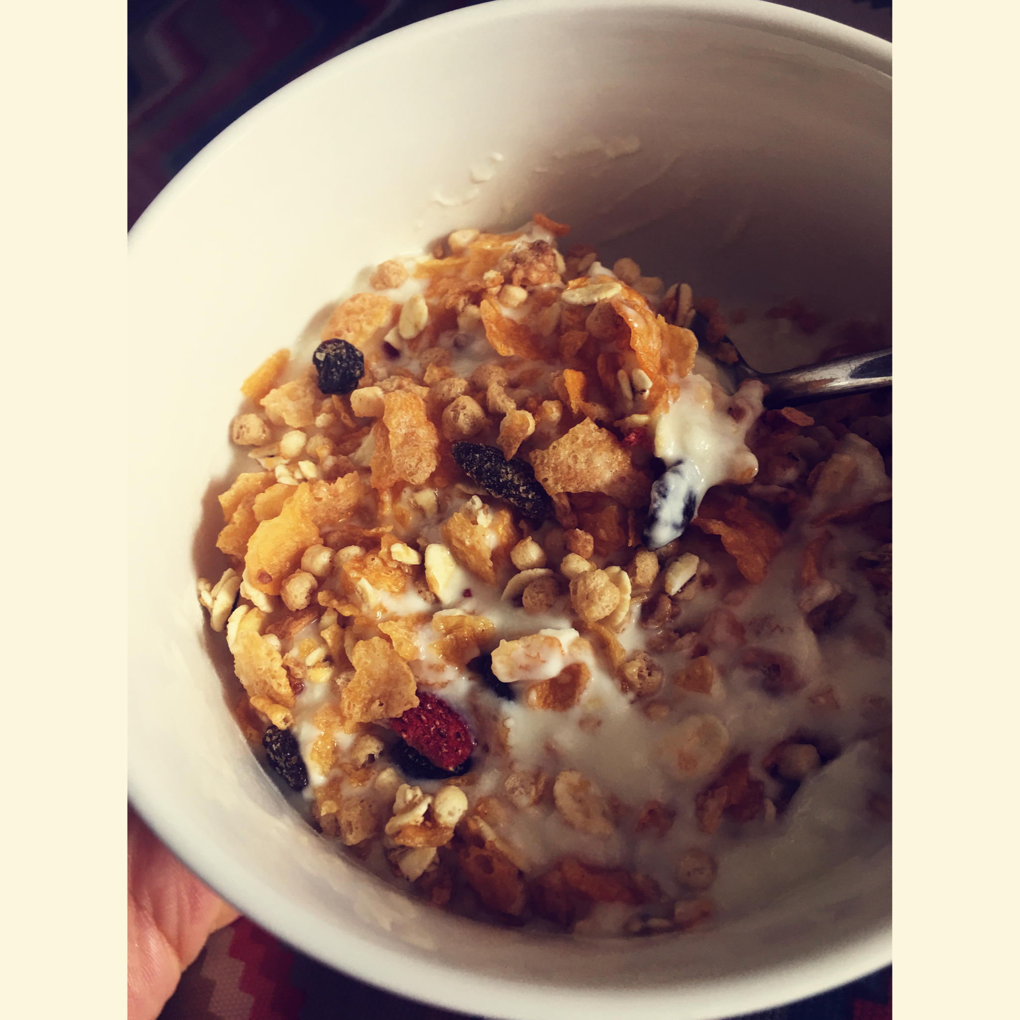 （也许减肥的）酸奶麦片