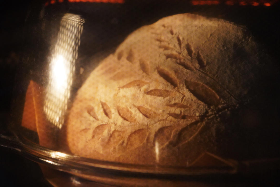 天然酵种基础乡村面包Basic Country Bread at Tartine