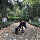 手机用户5320_m932