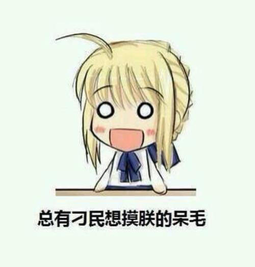 总有刁民想摸朕的呆毛
