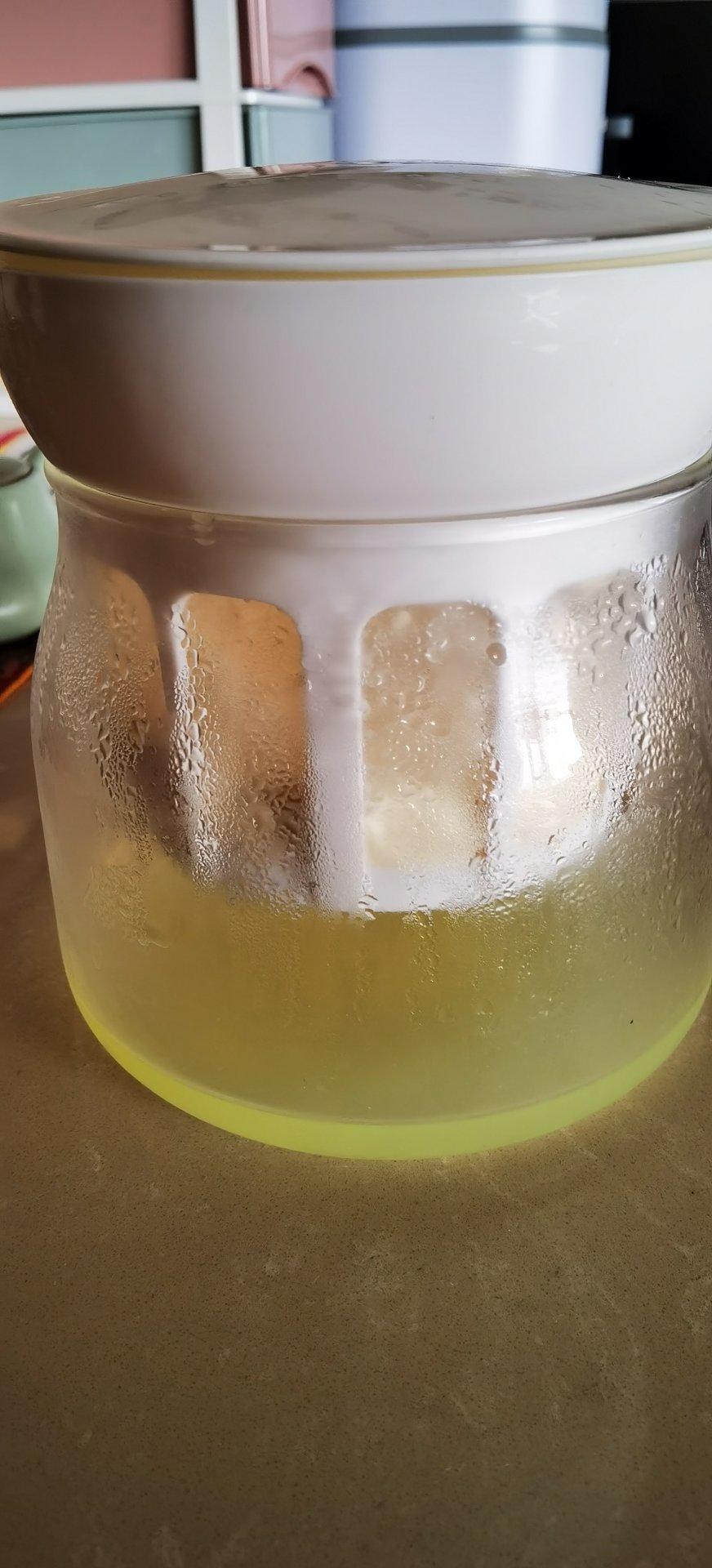 二十块钱自制鲜奶酪