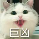 去尼嘛