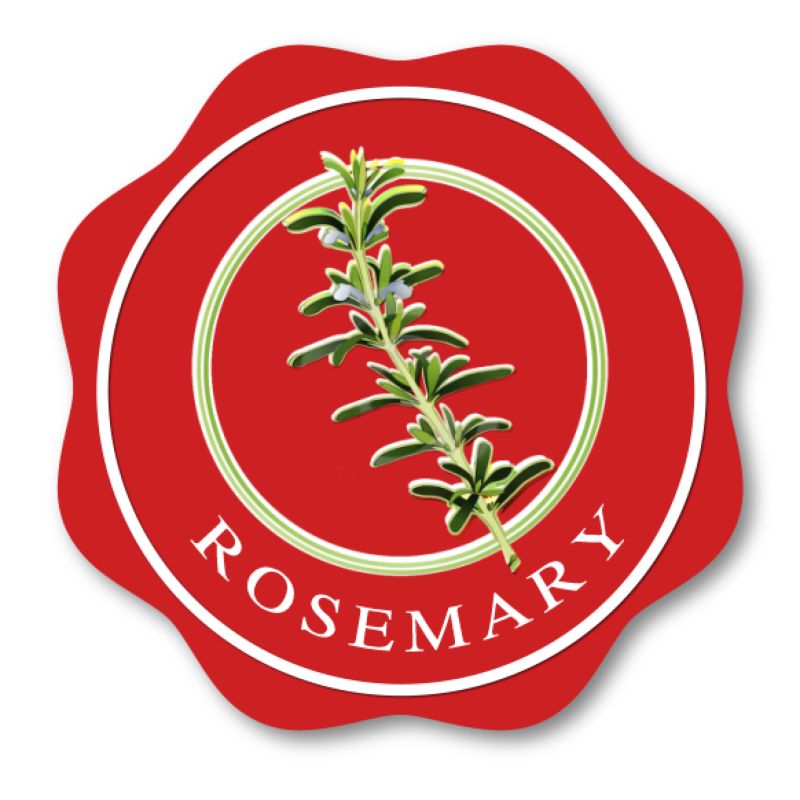 迷迭香Rosemary