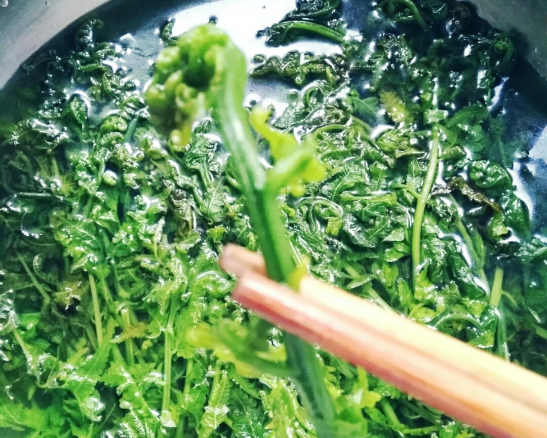 蕨菜的做法