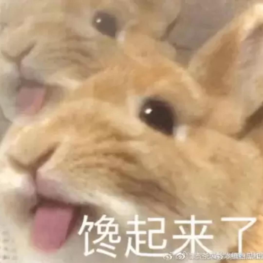 做菜菜不菜