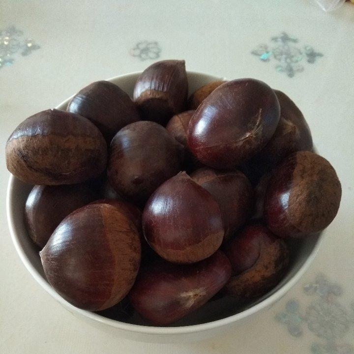 煮栗子
