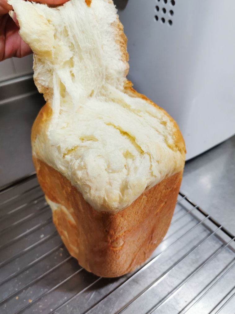 做过最好吃面包
面包机也能吼住的封面