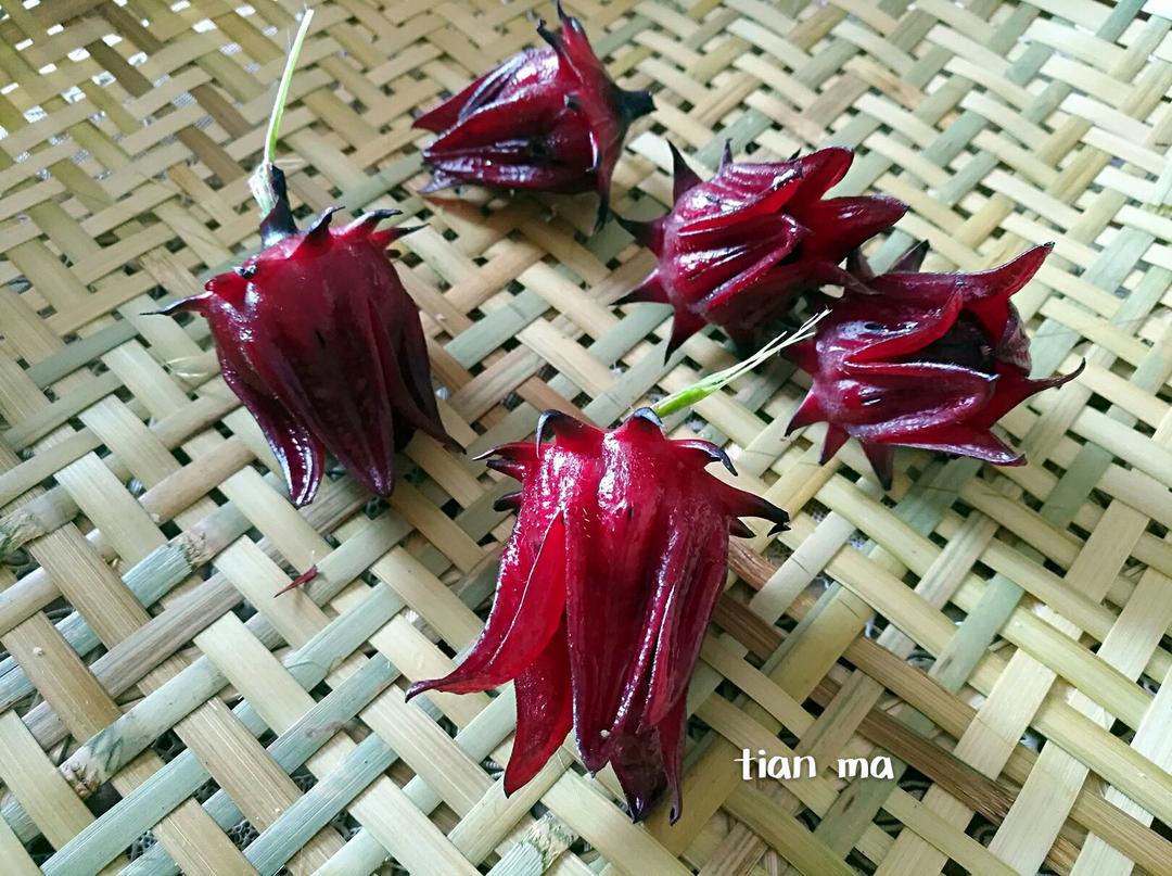 美好食材秀