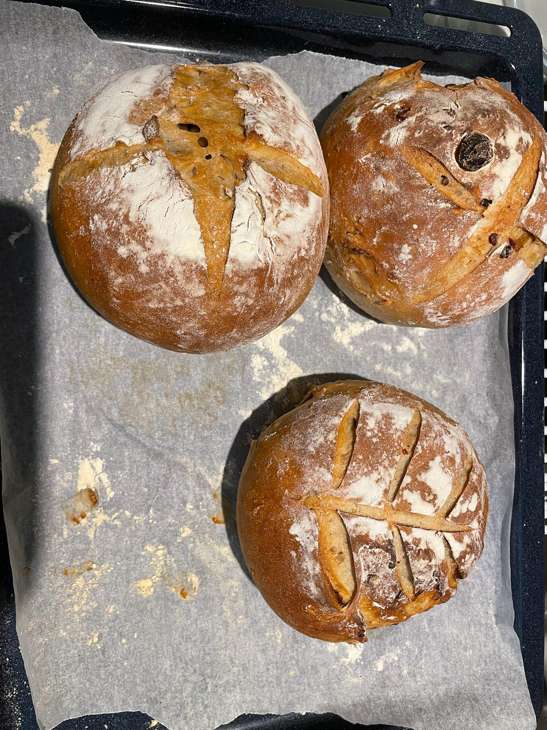 香蕉果仁软欧包～一次发酵老面版