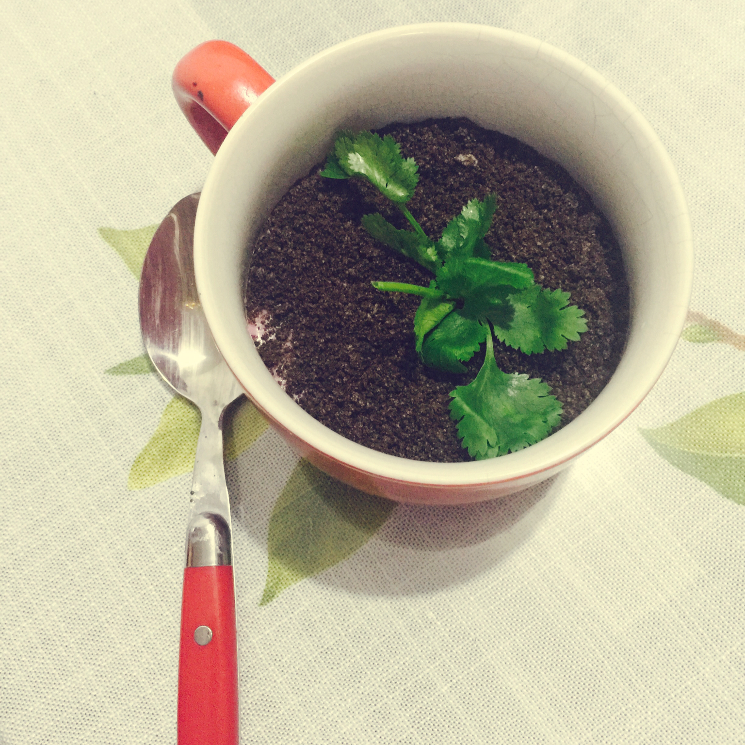 『盆栽酸奶』夏日里的小清新。