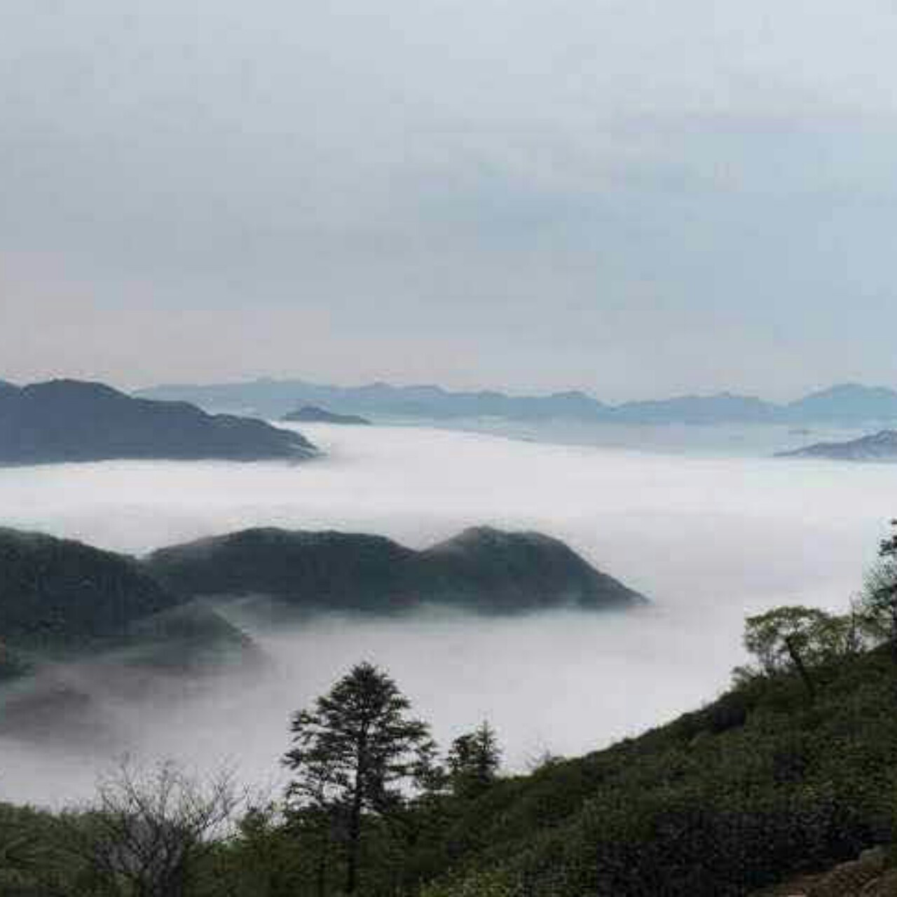 手机用户3450_32kv