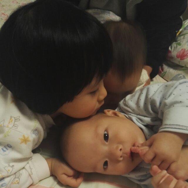 鱼恋燕