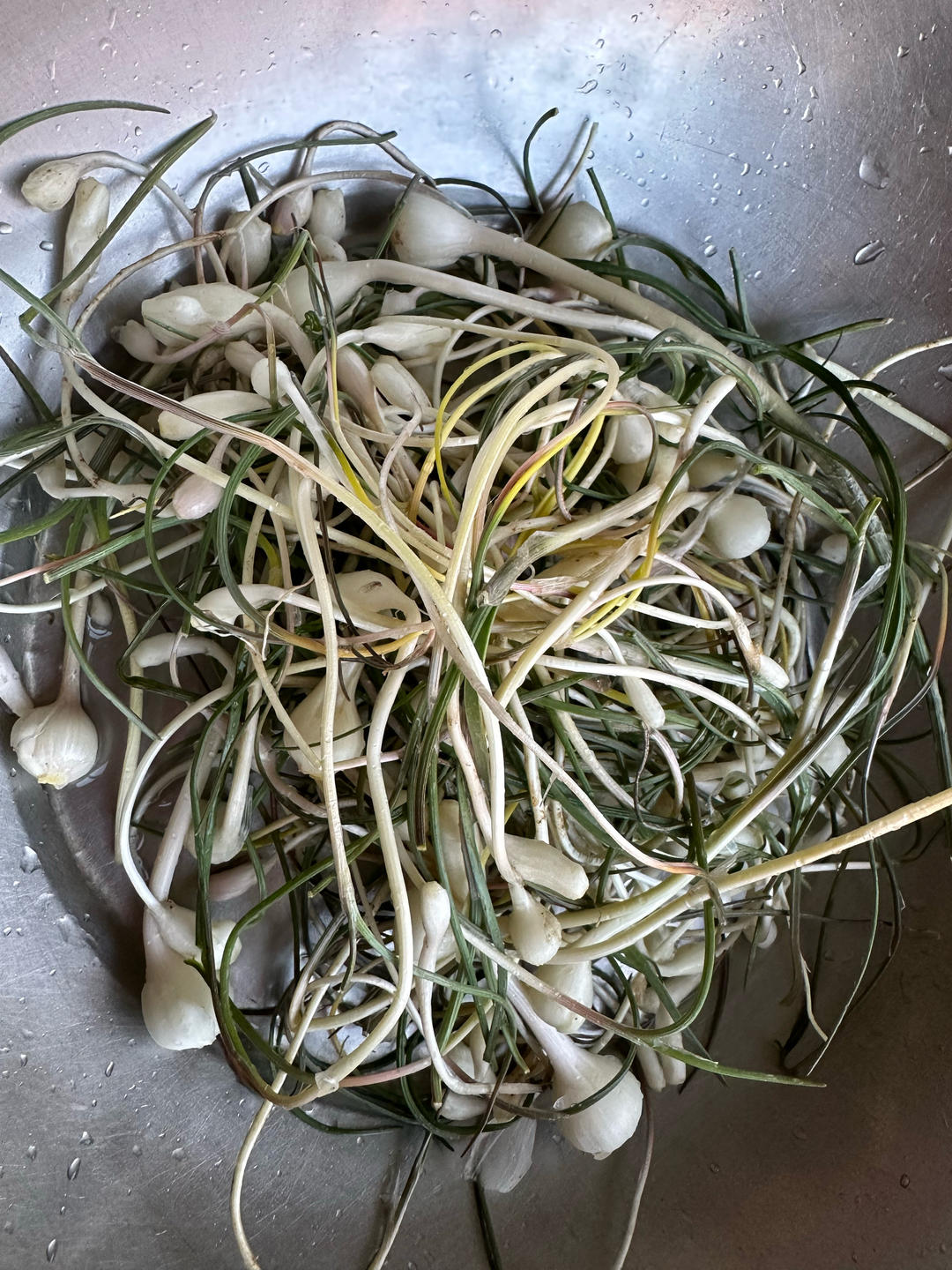 新鲜上市的野菜