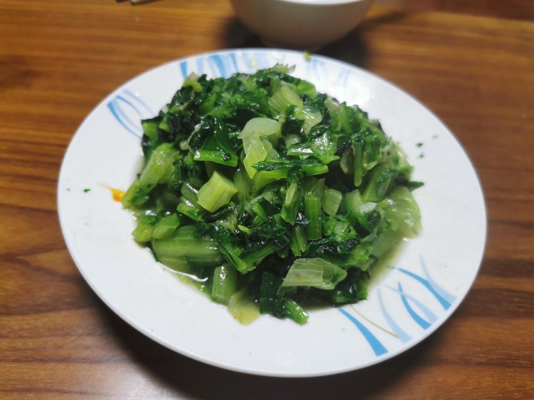 今天午餐吃什么