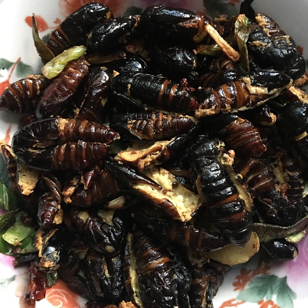 干煸蚕蛹