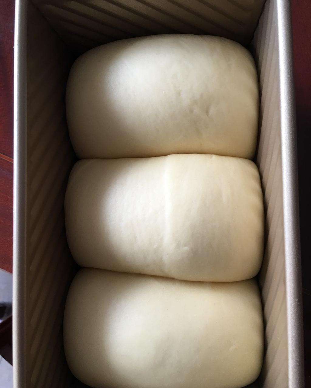 夺命软吐司(๑´ڡ`๑)超软拉丝极速方便的一次发酵吐司