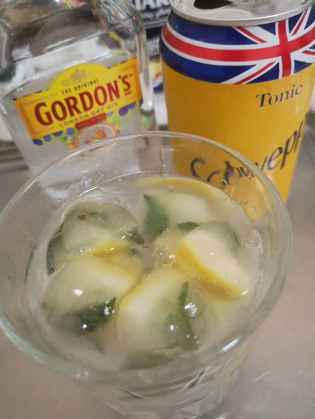 如何调一杯酒吧里点单率最高的金汤力Gin Tonic