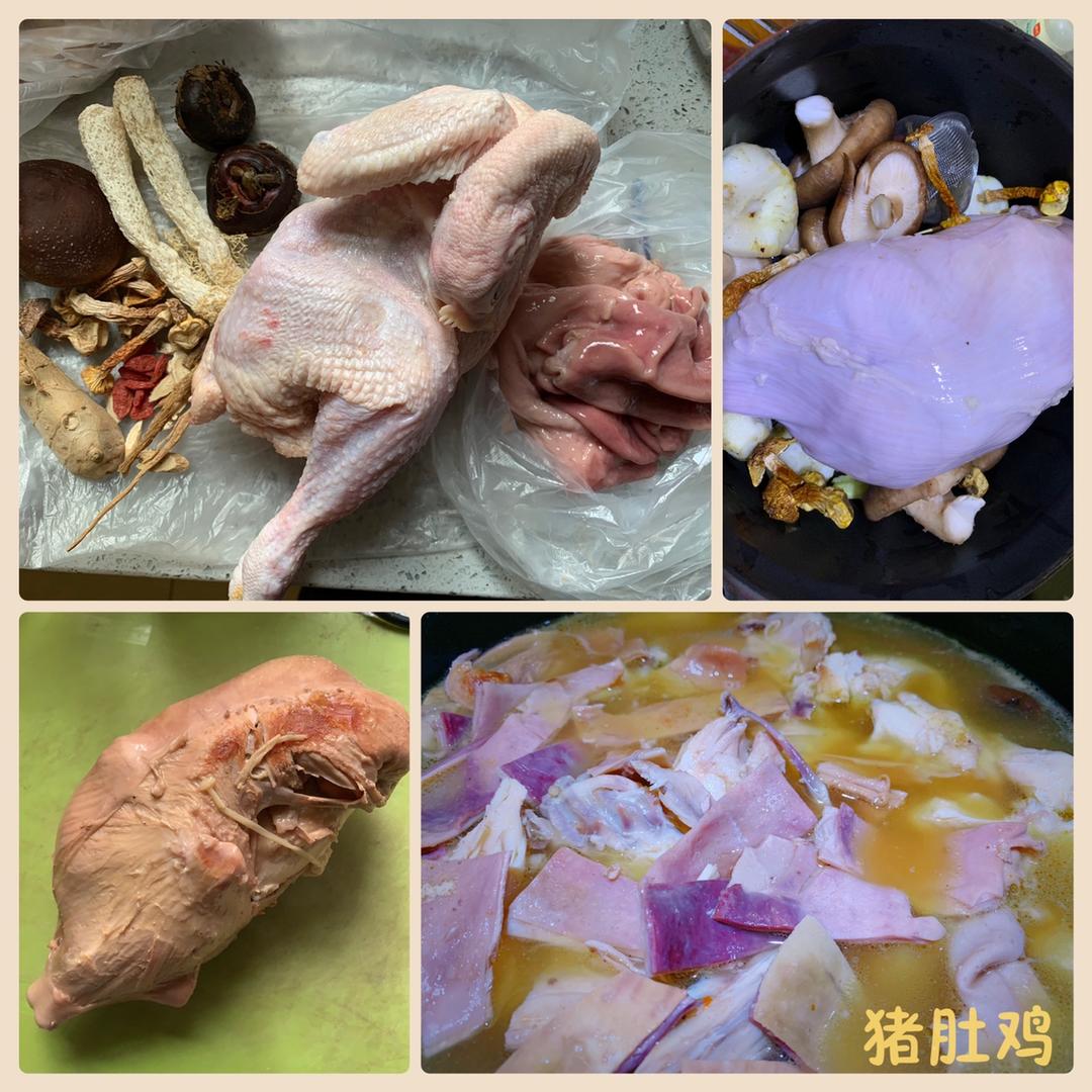 猪肚煲鸡