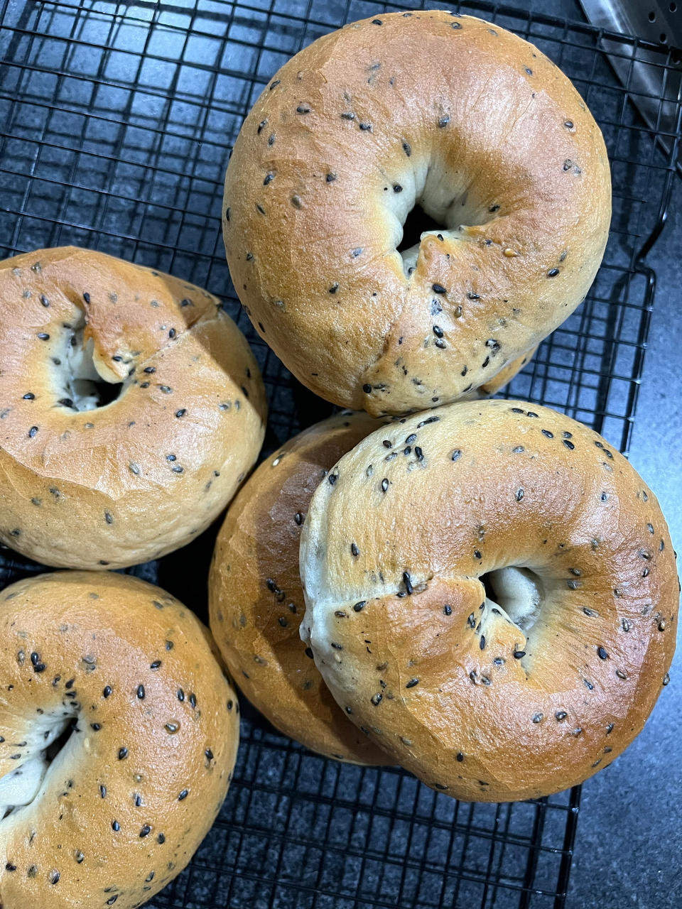 原味贝果🥯/黑芝麻贝果🥯