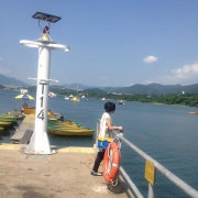 小麦lfm