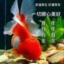 糊涂_zv0k