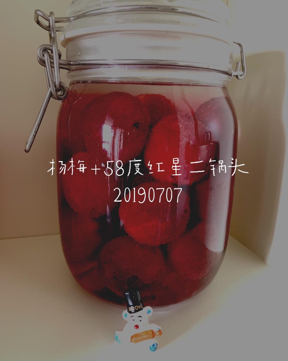 梅子酒（西梅）