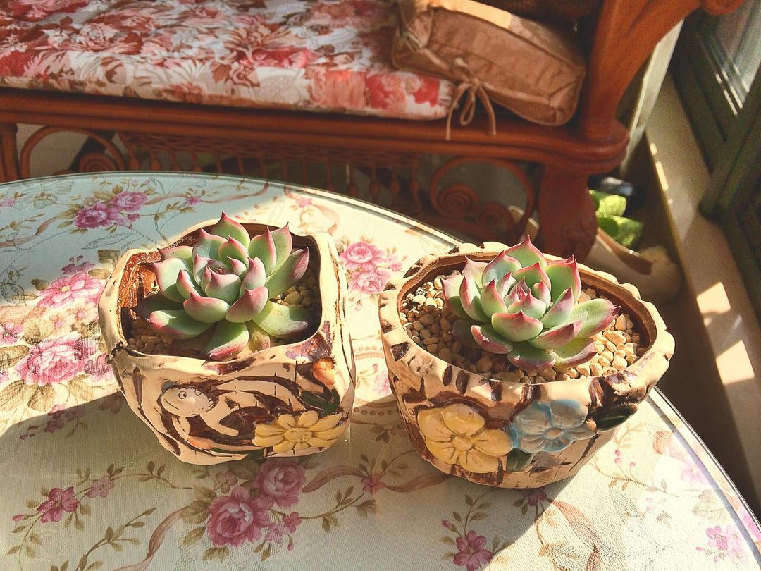 小房间dē旧时光