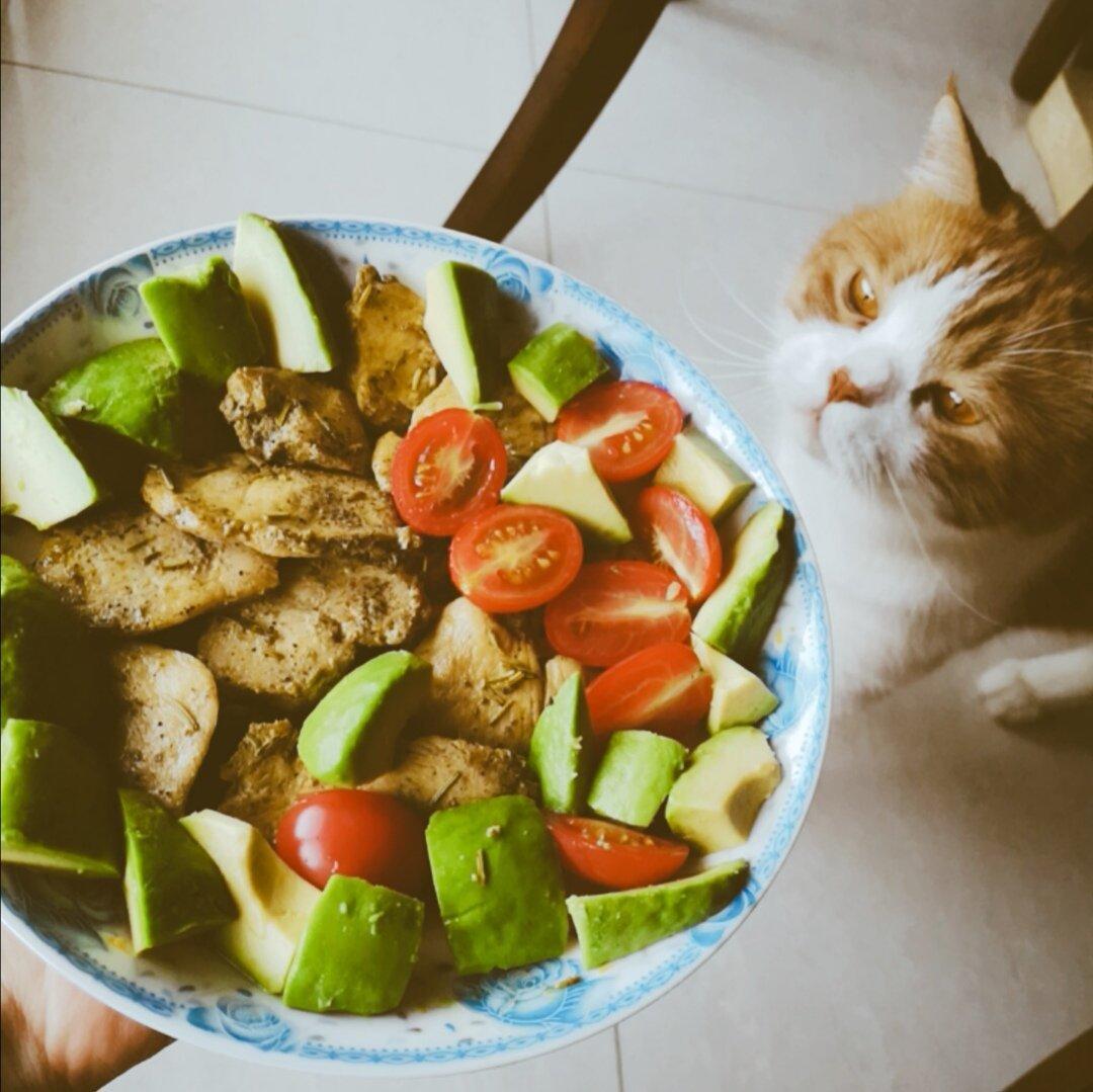 史上最简单烤鸡胸肉（而且好吃）