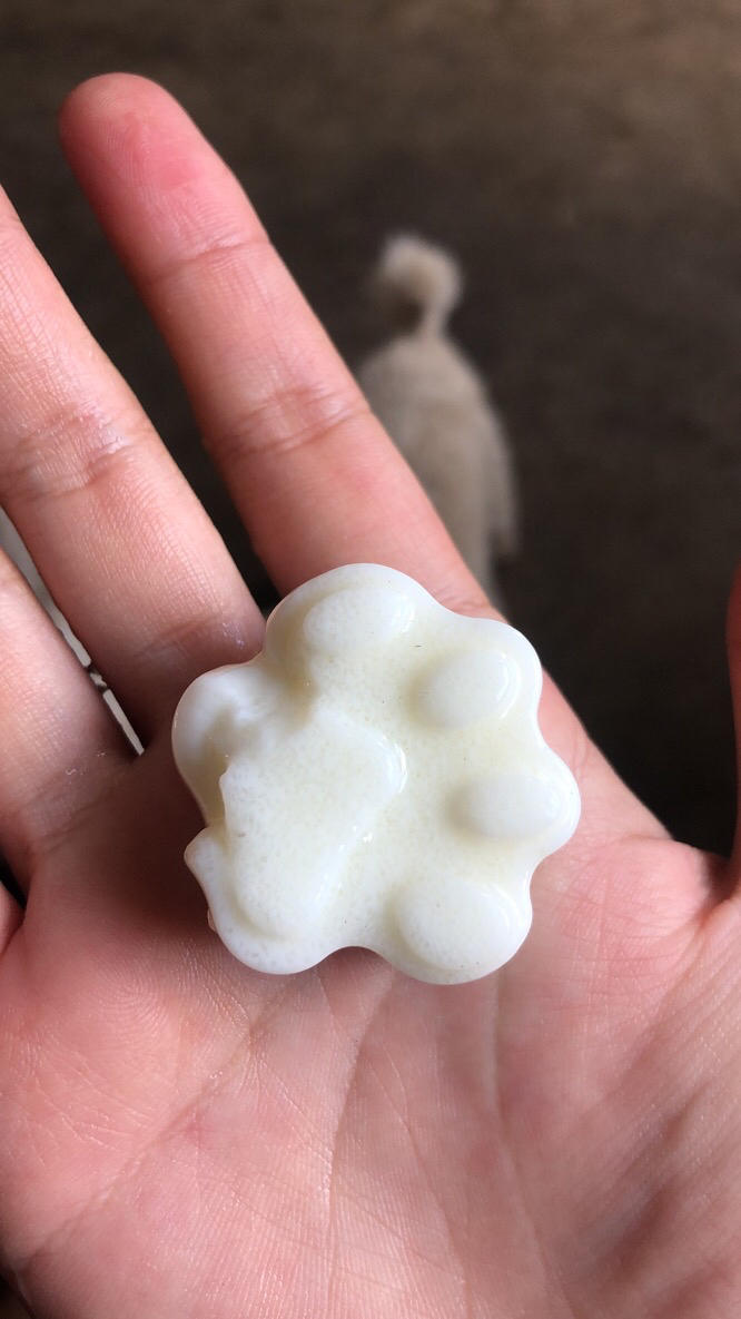 网红兔子布丁
