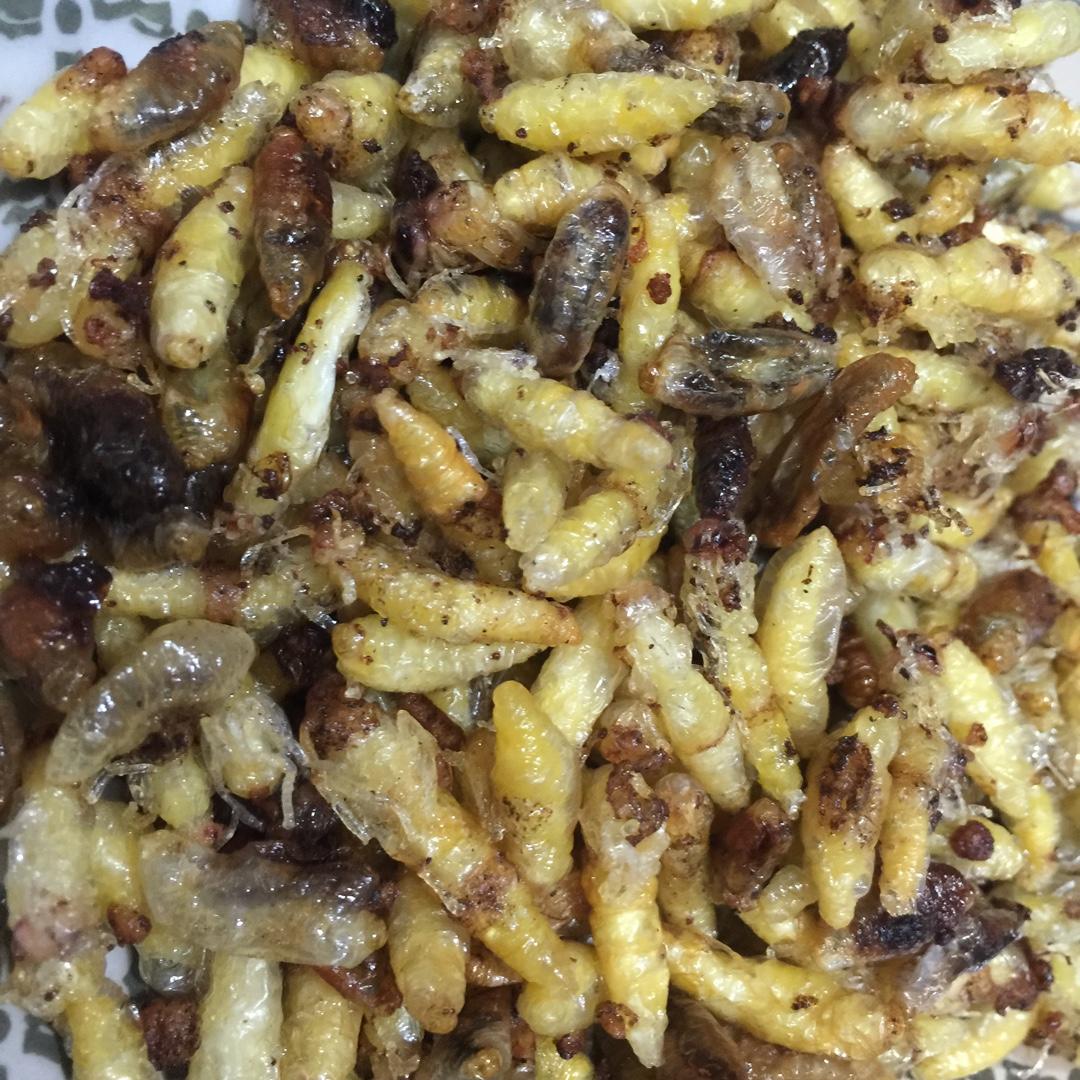 油炸蜂蛹