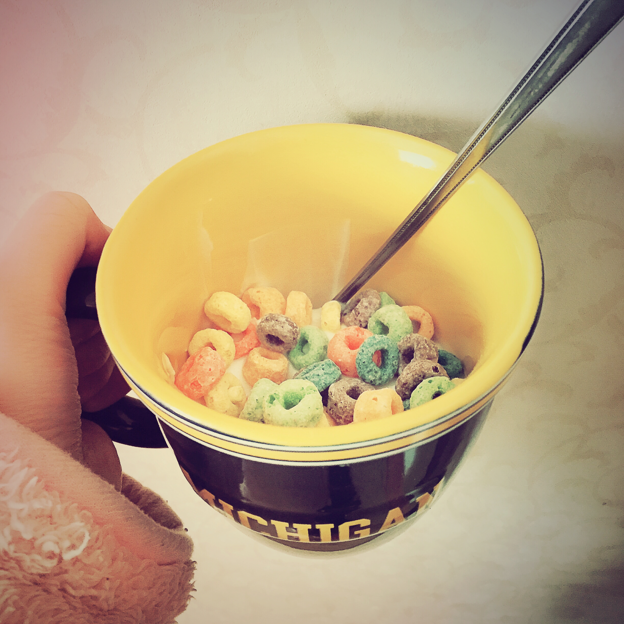 超简单的营养早餐--酸奶麦片