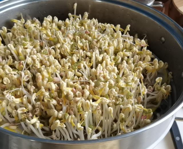 利用蒸锅同时发两层绿豆芽的做法