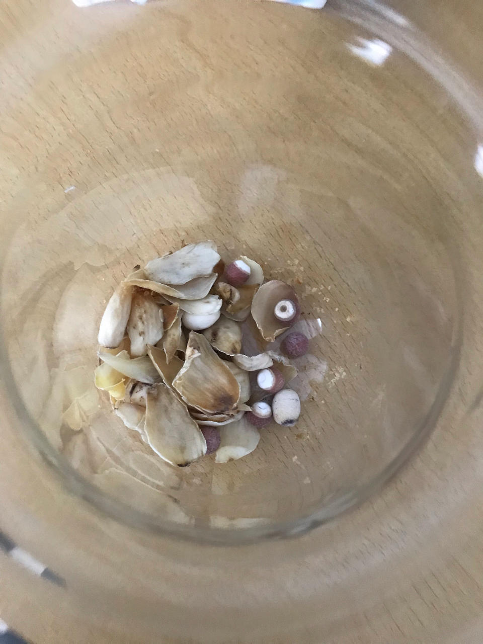 奇异果酸奶【7月北鼎蒸炖锅食谱】