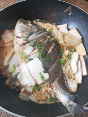 鲷鱼最简单最鲜美做法—最好的食材往往只需要最简单的烹饪方式的做法 步骤13