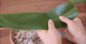 杂粮粽子：粽子的四种包法【曼食慢语】的做法 步骤9