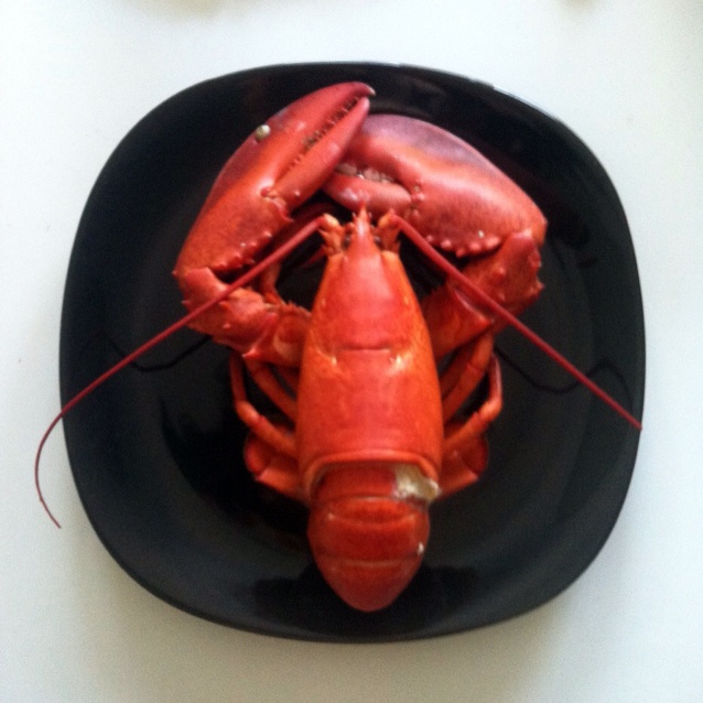 清蒸波士顿龙虾